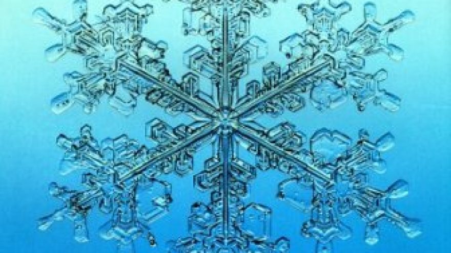 “Snaigės” žygis Aukštagirio miške