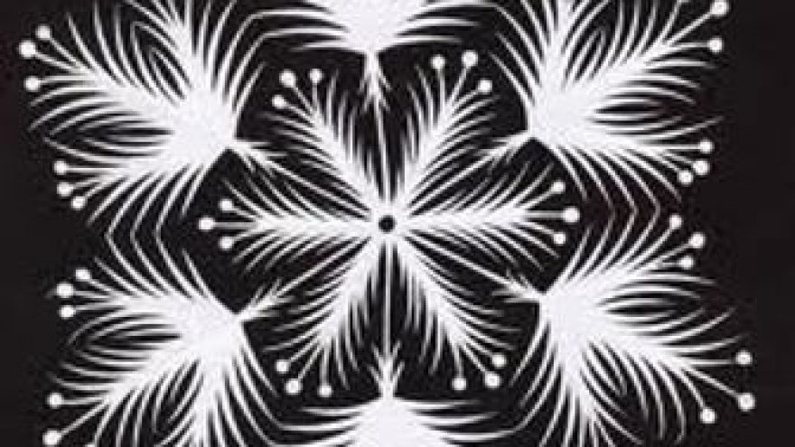 “Snaigės” žygis Senasalyje