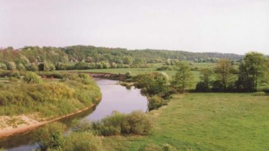 Minijos žemupio regata 2011