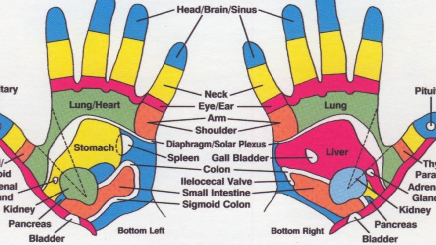 Kūno mankšta ir paskaita “Plaštakų refleksologija”