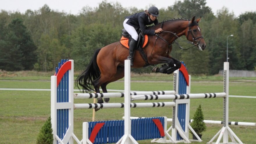 Konkūrų varžybos „Eksperto taurė“