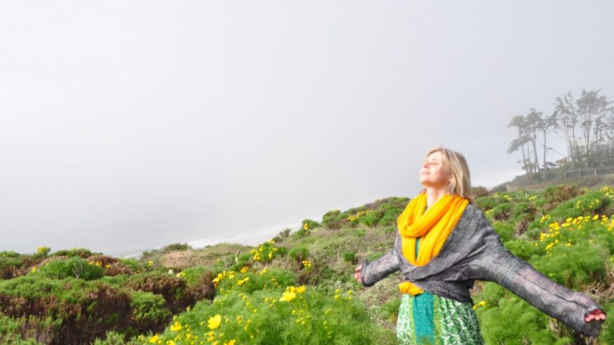 Saulės Piktys  parodos uždarymas