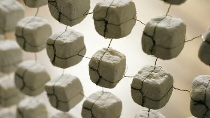 Ramintos Baltrušytės paroda „Išbalinti“