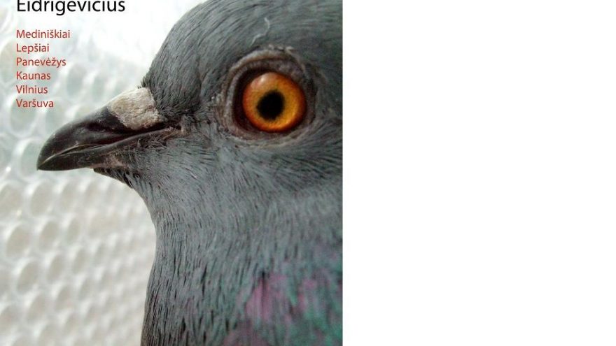 Stasio Eidrigevičiaus kūrybos paroda