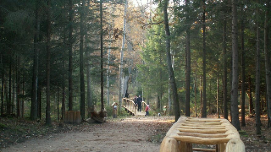 Pėsčiomis po Vingio parką ir Karoliniškių draustinį
