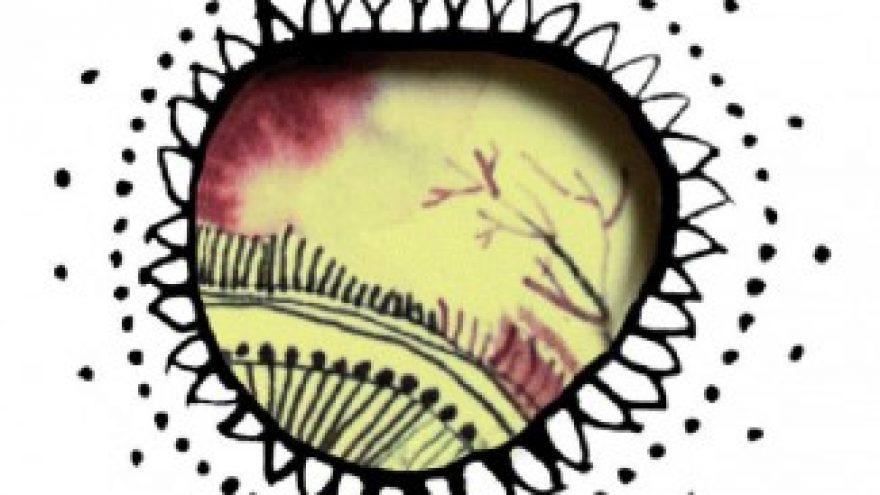 Ekologijos festivalis “Vėjų slėnis”