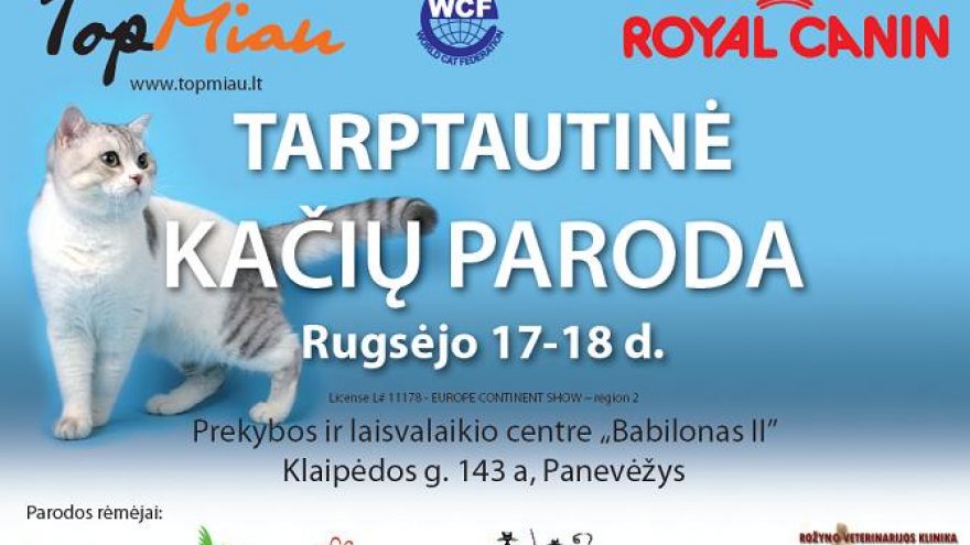 Tarptautinė Klubo “Top Miau” kačių paroda