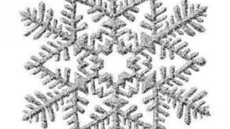 “Snaigės žygis” slidėmis Antakalnyje