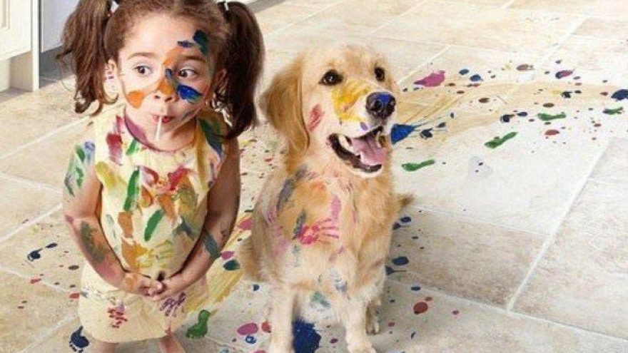 LABDARINGAS RENGINYS „Gerumo skraistė”