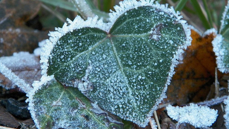Paramos grupė netektį išgyvenančioms šeimoms