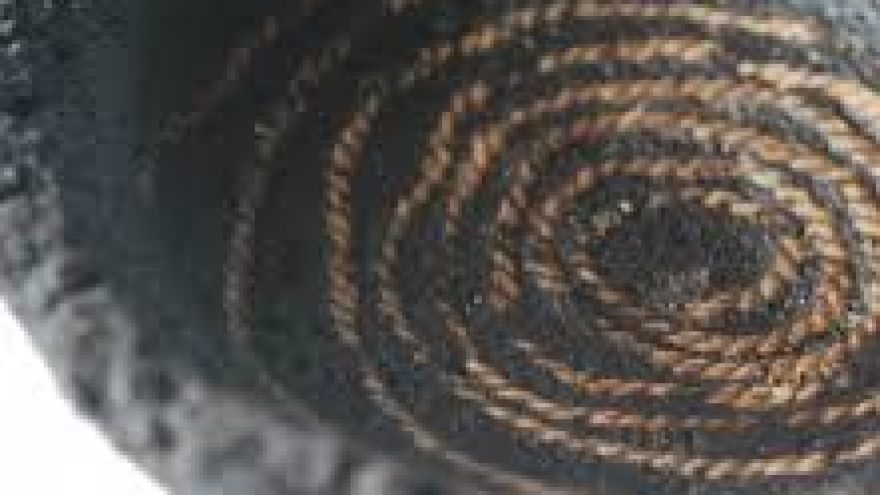 Kviečiame šeimas į svečius pas Mūzas