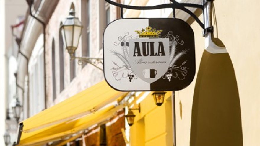 Schwing Trio ir Indrė Jurgelevičiūtė