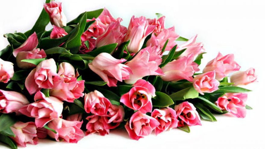 2012-03-08 Ketvirtadienis – Kovo 8 moters diena