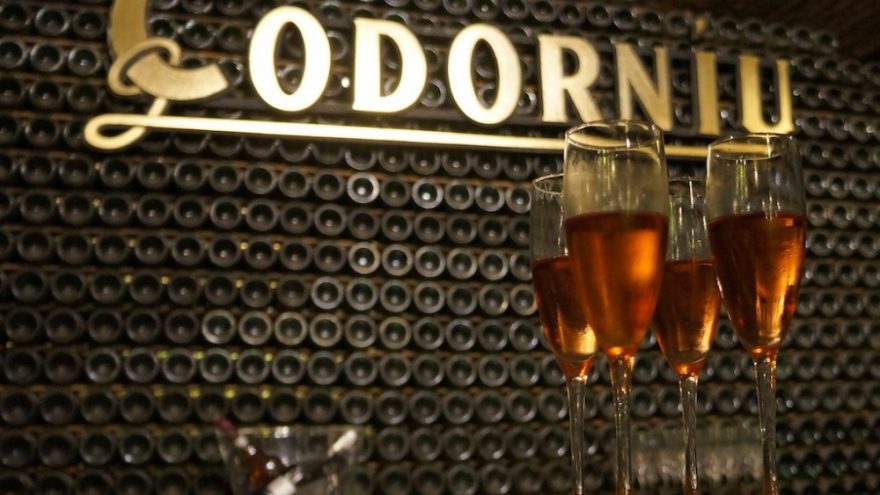 Codorniu Cava putojančio vyno degustacija su vakariene