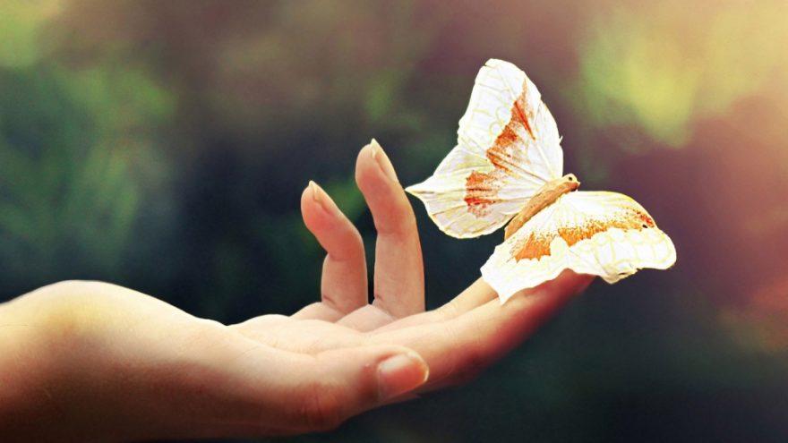 Praktinis seminaras “Drugelio prisilietimo” masažas