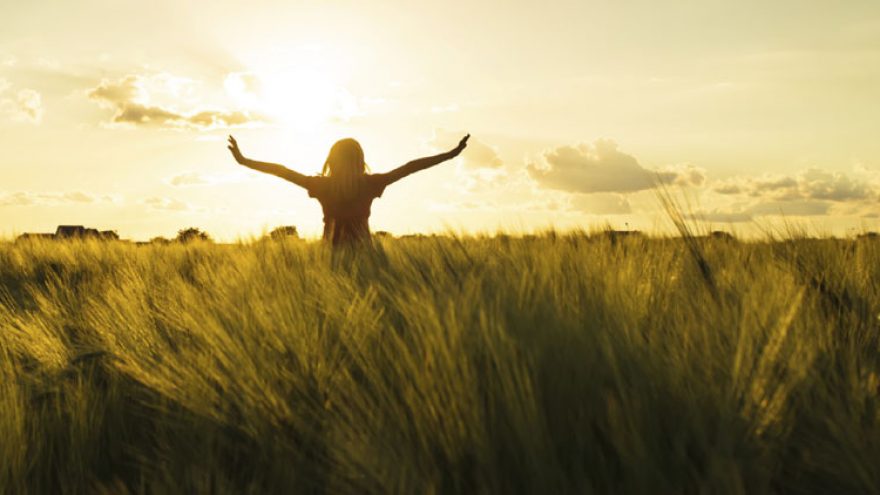 Seminaras “Sėkmę pritraukiančios charakterio savybes”