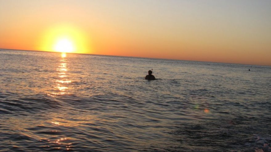 Sveikas ir laimingas. Žaliavalgystės atvejis.