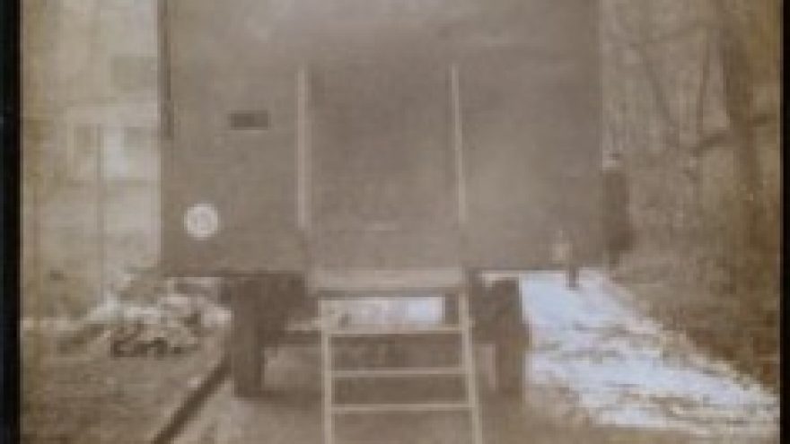 „Zoo fotografija. Kaunas”