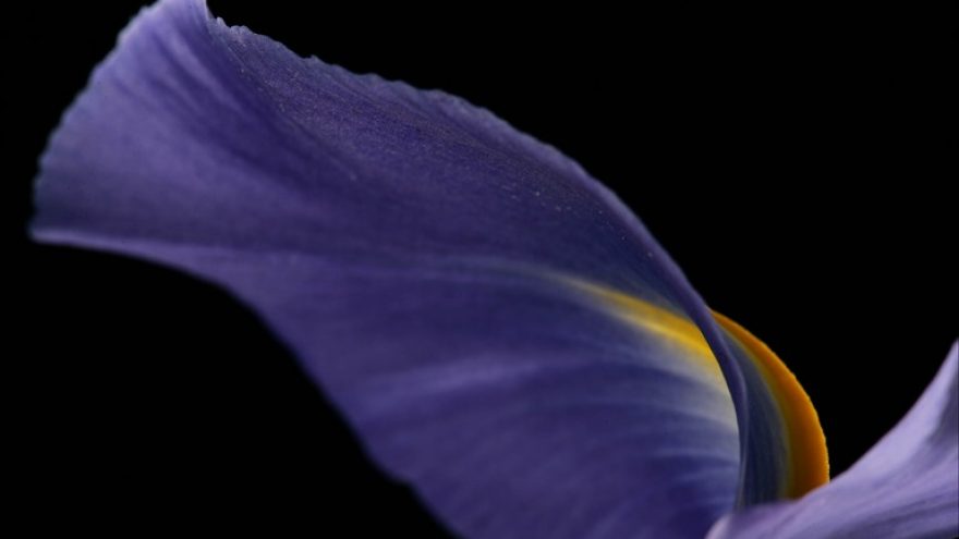 Sveika mityba. Žaliavalgystė.