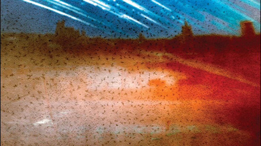 Paroda “Saulės kelias”