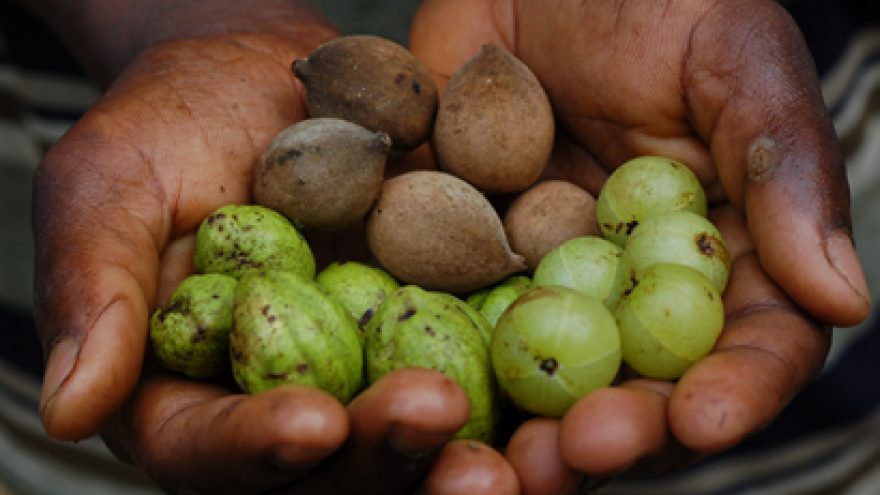 Paskaita “Ajurveda – mokslas apie laimę”