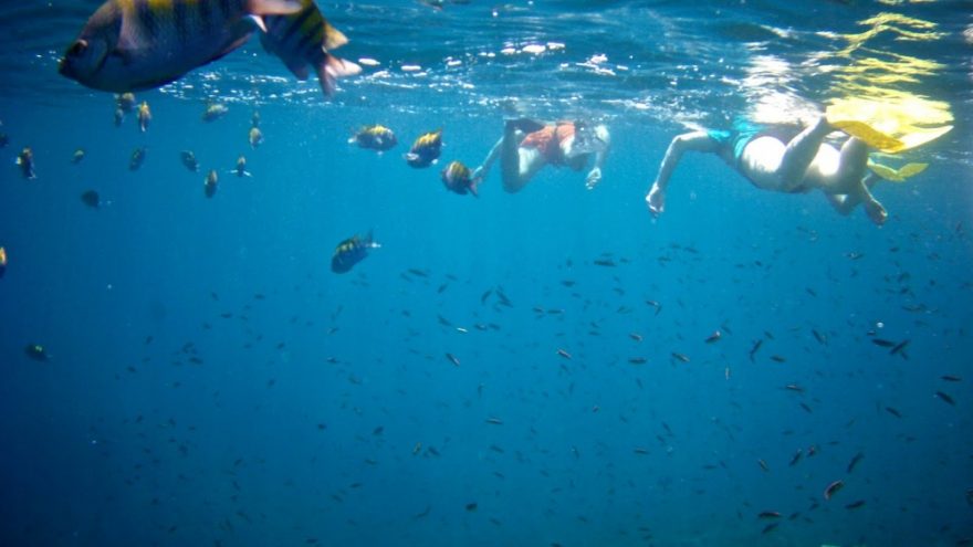 Galvės ežeras taps povandeninės galerijos vieta