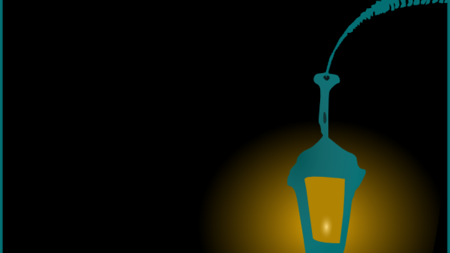 Orientacinis žaidimas ELEKTRINĖ: Encounter III