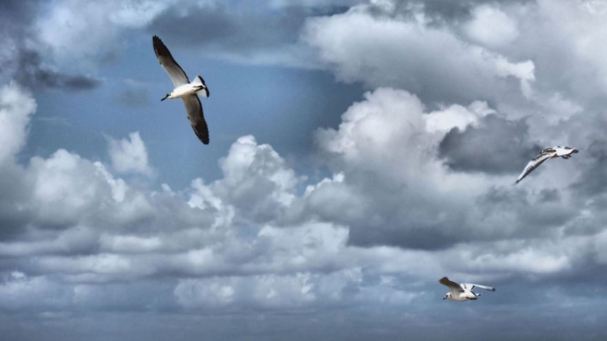 Praktinis seminaras “Kvėpavimas – tiltas į meditaciją”