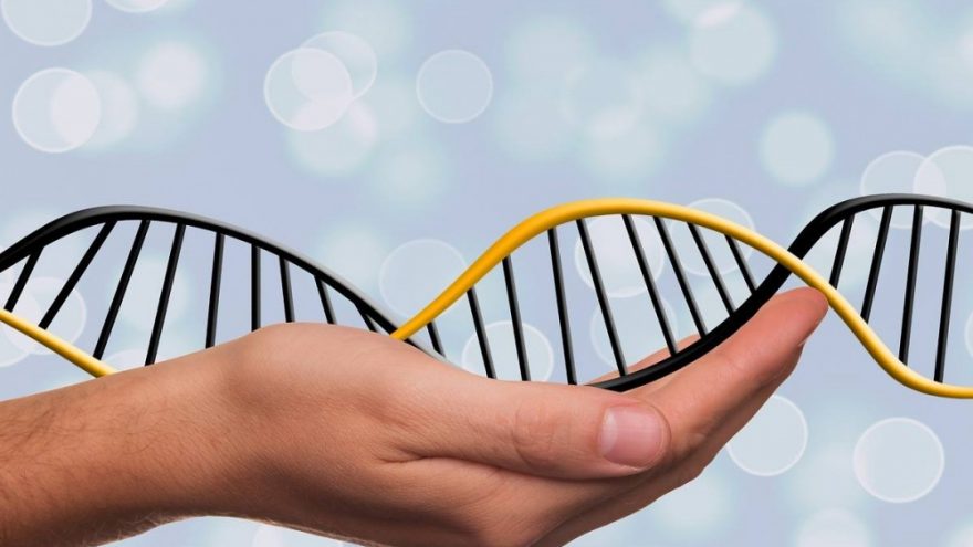 ThetaHealing Bazinis DNR seminaras