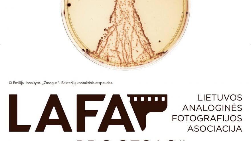 Paroda „Procesas“