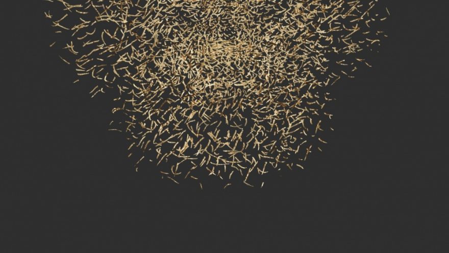 Leono Striogos paroda „Šviesos lauke“