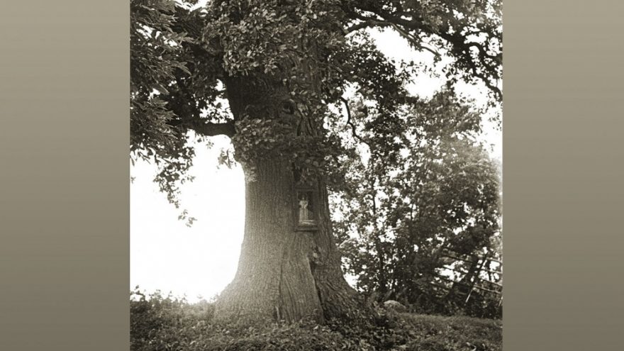 Onos Pajedaitės paroda „Lietuvoje…