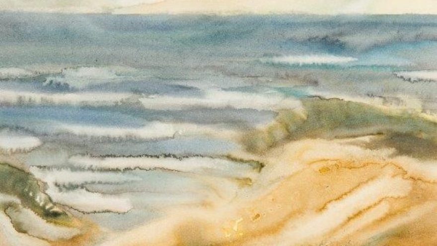 VALENTO LEIMONTO  akvarelės paroda  “PALYDĖTOS VASAROS”