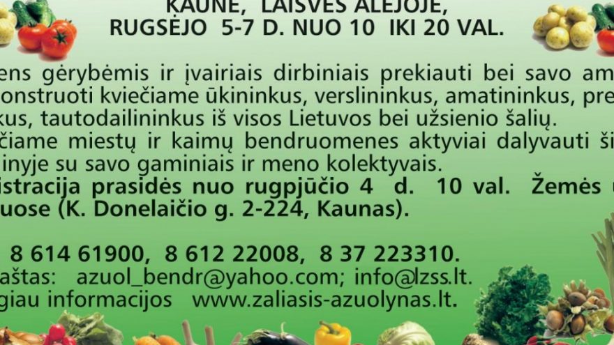 RUDENS GĖRYBIŲ IR BENDRUOMENIŲ AMATŲ MUGĖ 2014 m.