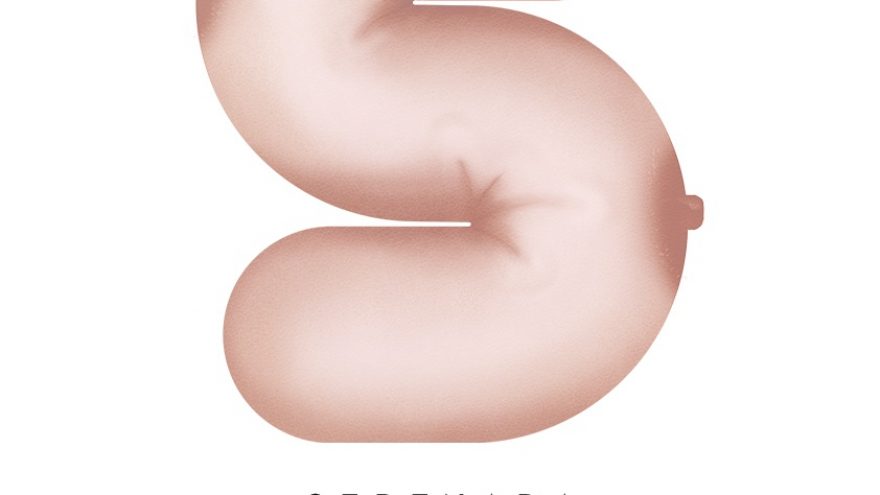 Komediją suaugusiems S.Mrožeko „Serenada“