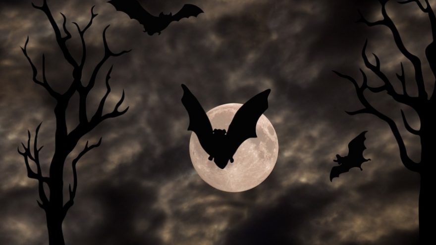 Šiurpiausia metų naktis