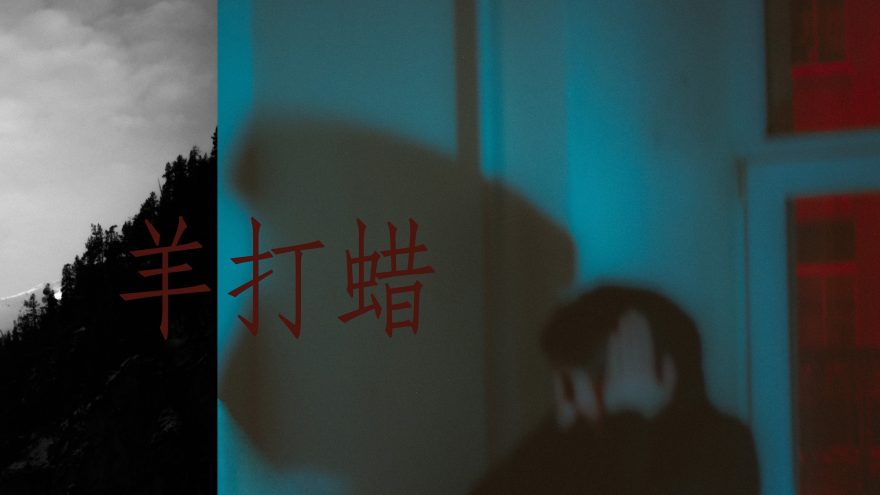 Sheep Got Waxed goes China