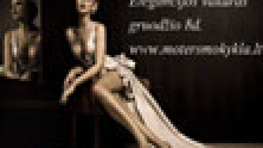 Elegancijos vakaras. Moterims apie Moteriškumą…