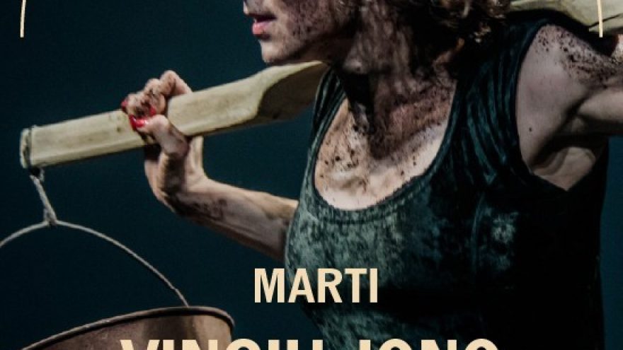 VMT | MARTI x VINGIŲ JONO TEISMAS