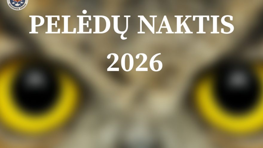 Pelėdų naktis 2026