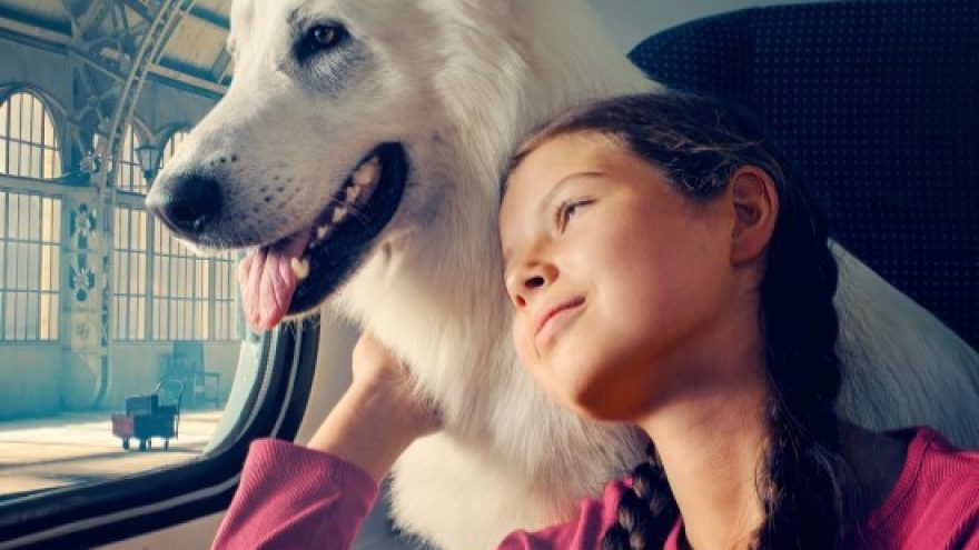 Šuo, kuris keliavo traukiniu | Visaginas | Kino filmas