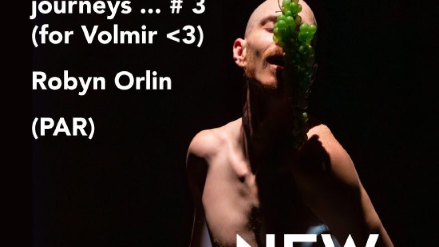 Robyn Orlin (Pietų Afrikos Respublika) – IN A CORNER THE SKY SURRENDERS