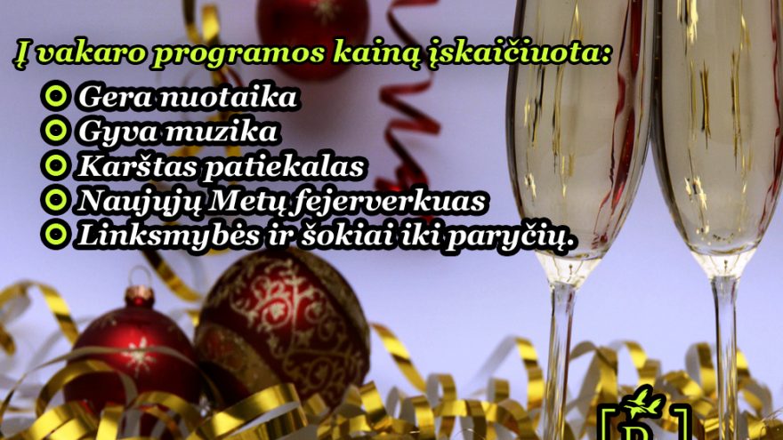 Naujųjų metų sutikimas Rimuošės Dvare