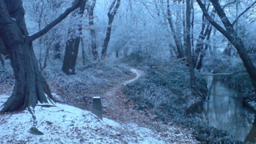 Pėsčiomis Stakliškių apylinkėmis