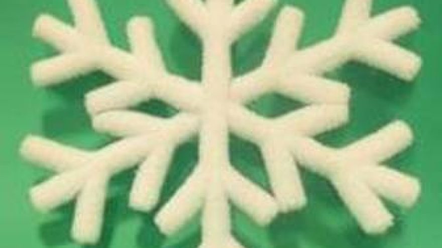 Snaigės žygis Kaune