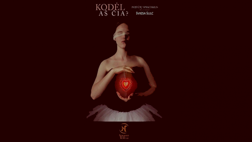 Pojūčių spektaklis tamsoje „Kodėl aš čia?“