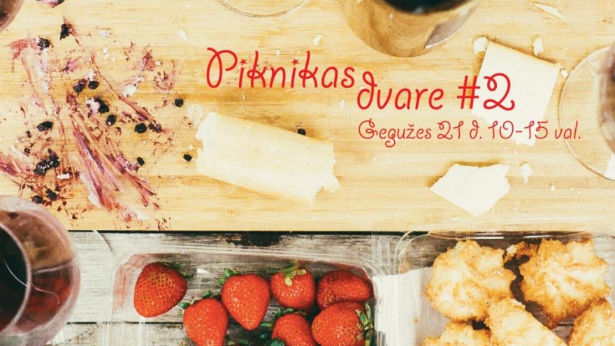 Piknikas dvare #2