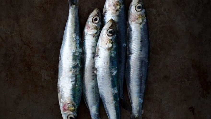 Wednesday AFTER WORK | Taste of Scandinavia