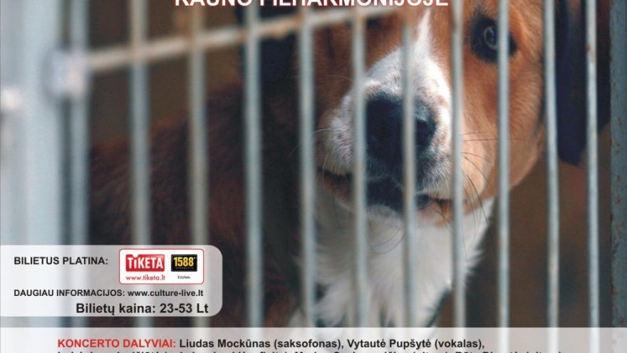 LABDARINGAS KONCERTAS “DŽIAZAS IŠLIKIMUI”