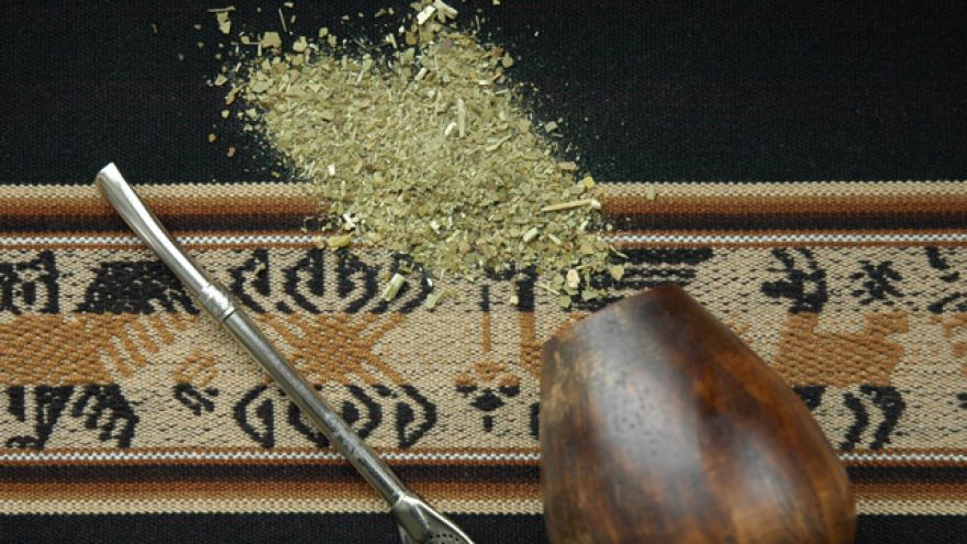 Yerba Mate degustacija